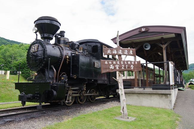 Amazon.co.jp: 『想い出の森林鉄道版画集小さな町の小さなSL