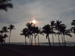 お日さまが、傾き始めました。
さあ、夕食タイムへ！