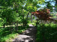 そして湖畔の公園を歩きました。