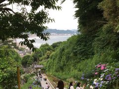 成就院の長い参道の階段を上ると目の前に由比ヶ浜が
ここの紫陽花の花は以前に比べると減ったと友人が残念がっていました。
でも海が見えて素敵・・
