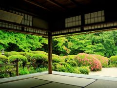 圓光寺の次は詩仙堂へ
歴史が好きだったこともあり、学生の頃は本当によく京都に来ていました。詩仙堂へも何度も来ていますが、今回は久しぶりの訪問。何年ぶりだろう？