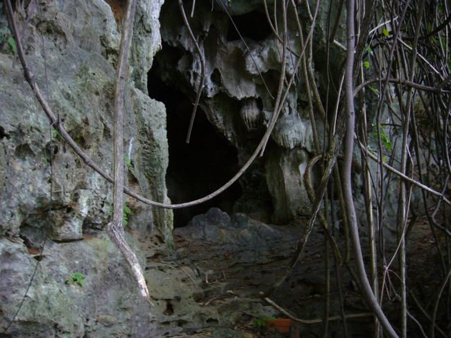 何か怖いなぁ…。