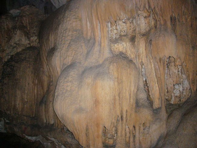 何かクラゲの大群の様ですね。<br />