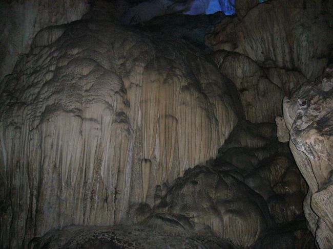 クラゲの大群再び！！<br />