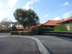 この日は、長女の希望で15:30～キャメルライドを予約してありました。
1ヶ月前に予約をしたのですが、この日はもう午前中の予約がいっぱいでこの時間しか空いてなかったです。