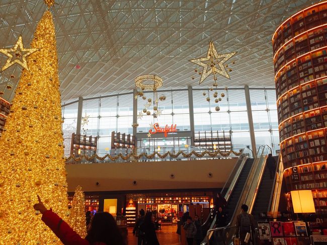 coexのピョルマダン図書館！！<br /><br />こんな図書館が家の近くにあったら、<br />毎日通いたいです^_^<br />