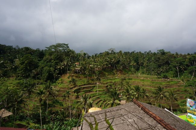 ウブドの観光地　テガララン ライステラス
