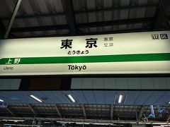 ３０分ほど乗って東京駅に着きました。