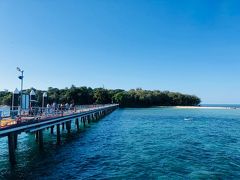 グリーン島到着！
海がとてもきれい。
魚が泳いでいるのが見えます。