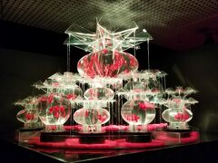 時間があったので、アートアクアリウムに行きました。
外は40度の暑さでしたが、金魚を見て涼みました