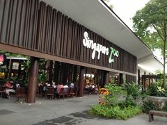 この日の夜は、予約していたシンガポール動物園のナイトサファリへ。
JTBで予約したら、日本人だらけでした。