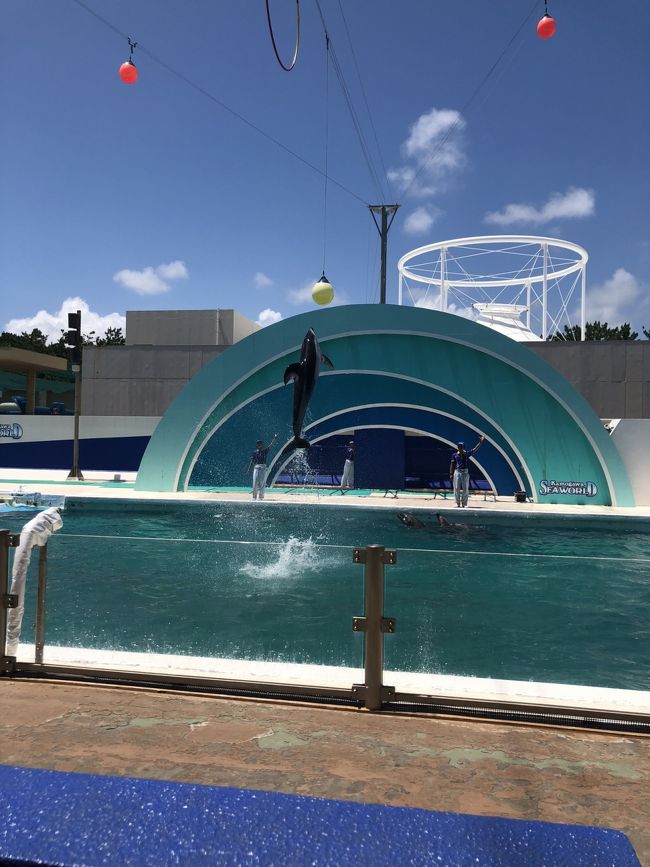 夏の鴨川シーワールド 鴨川シーワールドホテル泊 鴨川 千葉県 の旅行記 ブログ By ぱーぷるきゃっとさん フォートラベル