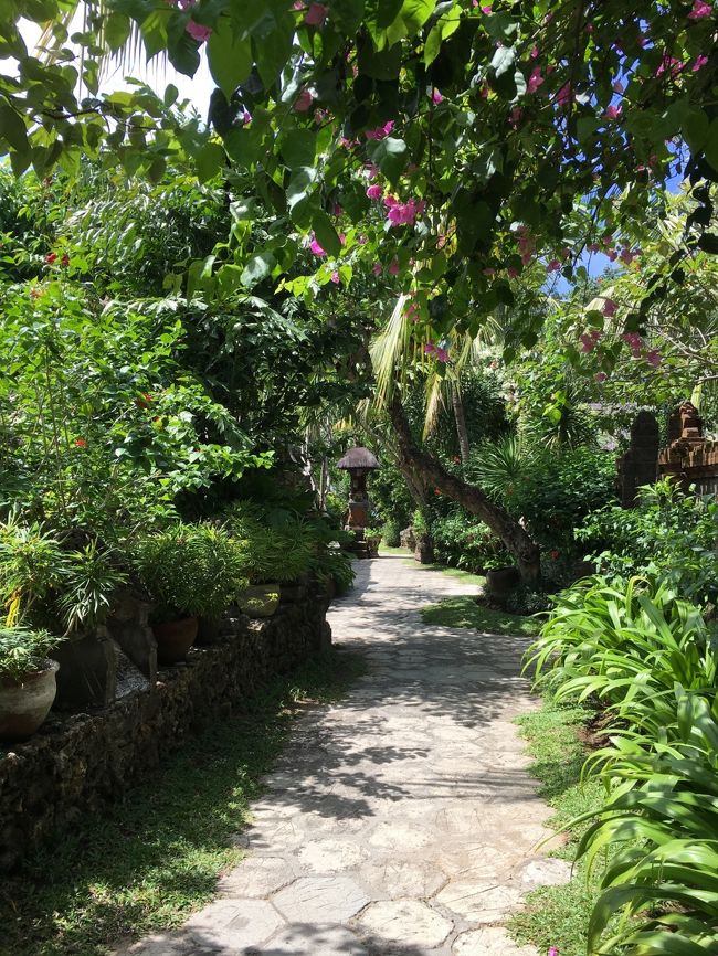 14時チェックインなので、まだお部屋には入れません。<br />ランチを食べに出かけようと思ったのですが、子供達が午前中のプール三昧でお疲れモードに(´･д･｀) 「ごはん、いらなーい」<br />それじゃあ、ウェルカムドリンクをいただきに、<br />タンジュンサリ・レストランへ