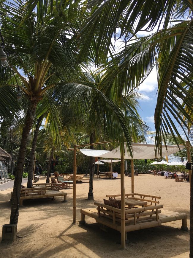 去年の11月から想い続けてずっと戻ってきたかった場所<br />嬉しいヽ( ´￢`)ﾉ 