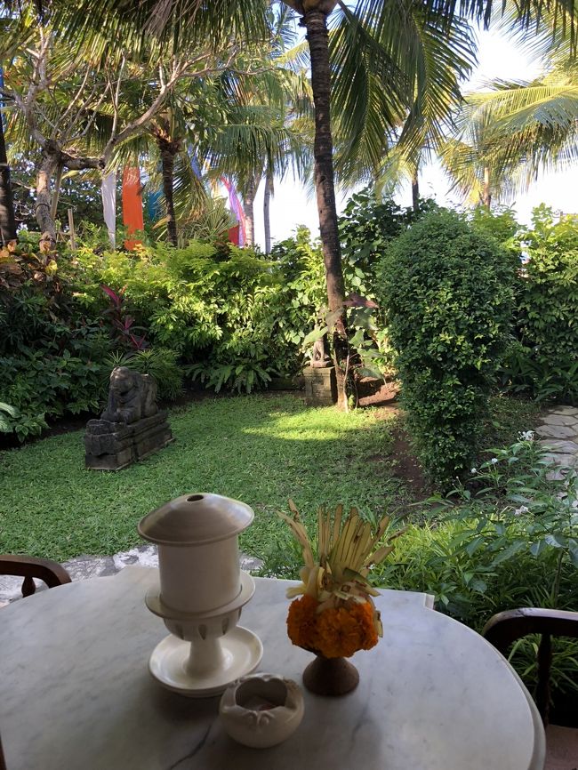 ちょっとしたプライベートガーデンがあります。<br />この空間があるとないとでは、全然違うんでしょうね。