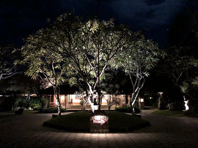 タンジュンサリに帰って来ました