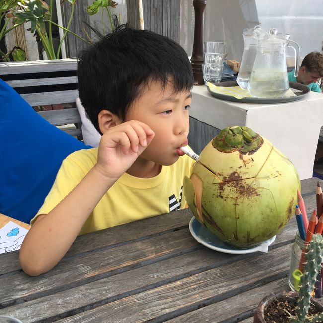 息子はこの、まるごとココナッツジュースに憧れがあったらしい。<br />一口飲んで「もういらにゃい」<br />他3人は経験済みなので「ほらね、だから言ったでしょ」