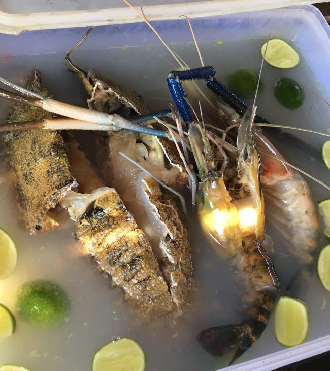 この秘伝のタレ？( *´艸｀)に漬け込んで臭みを取ります。<br /><br />今回、ロブスターも食べようと勢い込んでたのですが、水槽に入っていたのがチビッ子だったため、セミエビに軍配が上がりました。