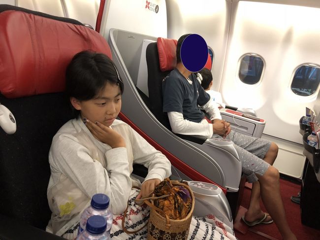 サヌールから空港までは渋滞することなく、高速道路通って呆気なく到着。<br />チェックインもイミグレも、これまたすーすーと順調に通過し、<br />２２：５５発XT401便で定刻通り成田に向けて離陸しました。<br />お昼寝卒業している息子はほぼ着席と同時に夢の中へ。