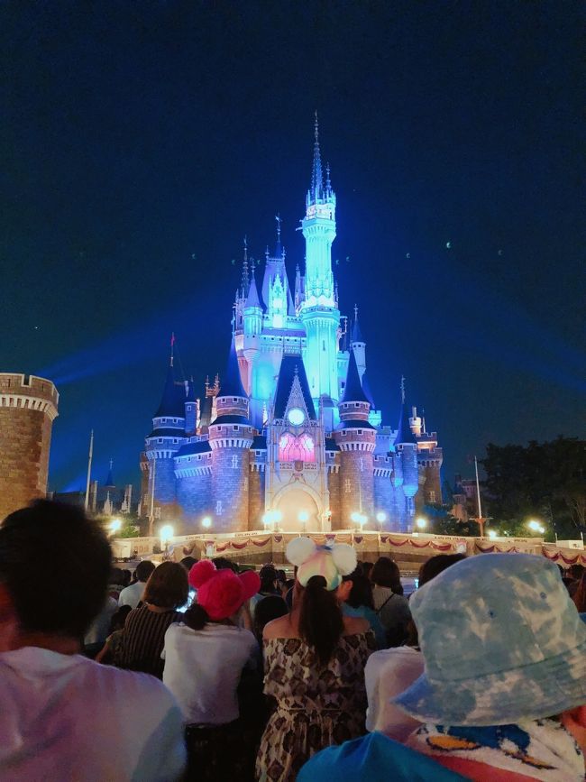 TDR 東京ディズニーランド シンデレラ城 楕円形 ステンドグラス