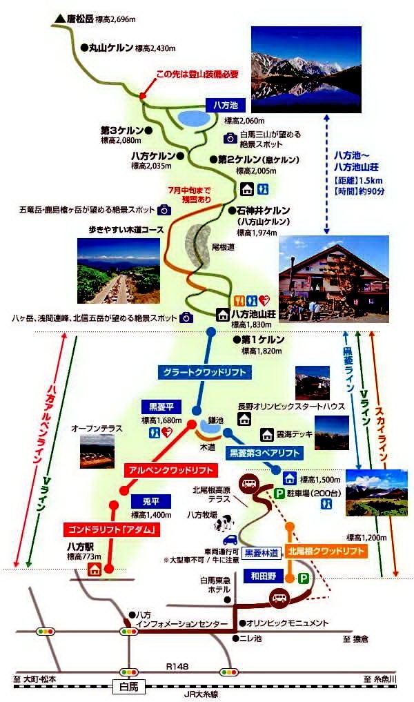 信州の夏休み ２ 八方尾根 八方尾根 岩岳 長野県 の旅行記 ブログ By ペコちゃんさん フォートラベル