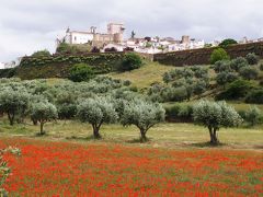 エストレモス（城壁で囲まれた町）
エルヴァスで軽くランチしてから約１時間程度で到着。
高台一番上にある城へ向かましたが、城は現在ポサーダ（宿泊施設）のためパス。
正直、前のエルヴァスの方が印象大です。
町中を散策後、エヴォラへ向かう途中、ふと横を見る（脇見運転かな？）と遠くにエストレモスの全貌。
即、下車しての結果です。記憶は不確かだがこのポイントしかこの景色は無いかな？