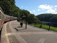 バロンフォールズ駅。
10分ほど停車して観光できます。
皆下車して写真を撮りに行きます。
乗り遅れると明日まで電車が来ないそうで、救出には来れないので、絶対に乗り遅れないで下さいと念を押されて…。