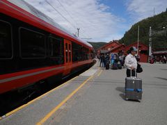 ミュルダール駅（Myrdal)　標高867m

様々な人の気持ちと興奮を乗せ、、
列車は約15分遅れでミュルダール駅（Myrdal)に到着、、
kuritchi達はこのミュルダール駅（Myrdal)でフロム鉄道に乗り換えます、、

フロム行きのフロム鉄道の列車はこの赤い列車が出発後到着するとの事、、
（ノルウエー語、英語で放送有り）