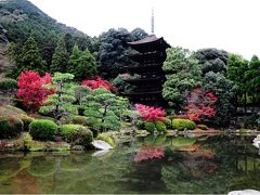 9時～9時20分、紅葉の中の五重塔を見たかったので、前日に続いて瑠璃光寺を再訪。
