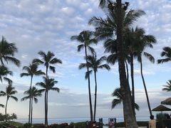 ハワイ2日目の朝

6時からの瞑想ヨガ、6時半からのヨガに参加しようと、１人早起き^ ^

予想通り、子供達は起きる様子もなく…しめしめ(*´ω｀*)

ラグーン前の芝生に行くところです