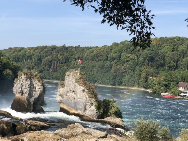 遊覧船で切り立った崖に登れるツアーもあります。<br />今年は猛暑でライン川の水位も低いらしいので、本来ならもっと水の勢いがあるのかも。我々は、充分これで満足しましたが。