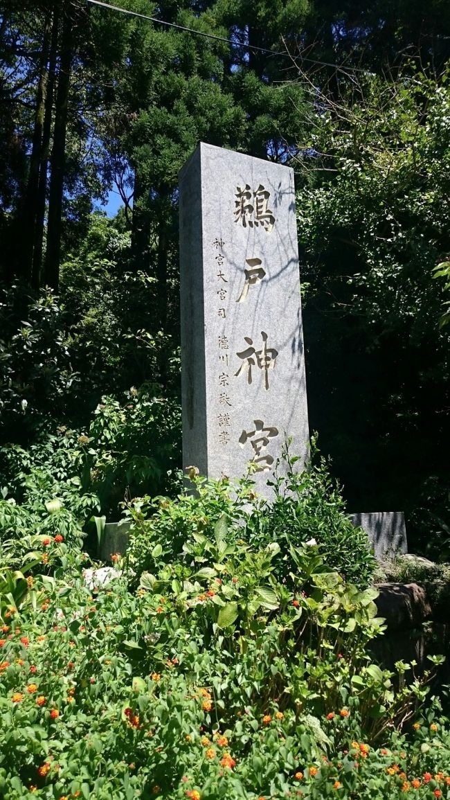 綺麗な海が見たくて、鵜戸神宮へ。