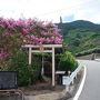 白洲正子ワールド「かくれ里」の最終章に・・高野山天空の社　丹生都比売神社