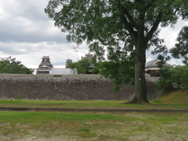 二の丸広場から望む