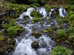 豊富な湧水を誇るふきだし公園だけ見学しました。