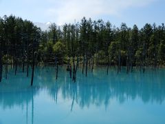 いや、ほんとに青い色をしています。　青空を映して青いわけではありません。

近くを流れる川の水も青いので、青い物質を含んでいるのでしょうね。

屈斜路湖・摩周湖・知床五湖・涛沸湖・藻琴湖・網走湖に次いで７湖目です。