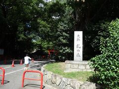 橋を渡るとすぐに糺の森がみえます。糺の森は下鴨神社の境内に広がる原生林です。京都に平安京が置かれた時代には約495万平方メートルの広さがあったのですが、応仁の乱など京都を舞台とする中世の戦乱や、明治時代初期の上知令による寺社領の没収などを経て、現在の面積まで減少したらしいです。