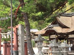 次に訪れたのは、白髭神社というところ。
古代社格制度では国史見在社（こくしげんざいしゃ）という社格だそうで、創建は伝第11代垂仁天皇25年で、西暦換算すると、なんとーっ！紀元前5年！！
えーっ！本当ーーっ！？