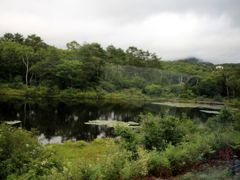 志賀高原には小さな池が点在しています。こちらは一沼。