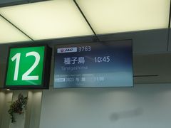 飛行機での移動