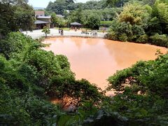 血の池地獄。
地下の高温、高圧下で自然に化学反応を起こし生じた酸化鉄、酸化マグネシウム等を含んだ赤い熱泥が地層から噴出、堆積するため池一面が赤く染まるそう。