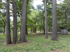 円山公園の中を通り抜けて行きます。

のんびりできる公園です。
