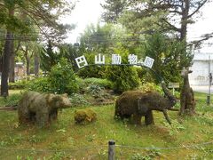 円山動物園までは、地下鉄の駅から
歩いて２０分くらいです。