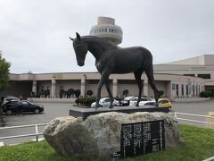 国道２３５号線を南下し、新冠町にやってくる
この辺りは、競走馬の牧場がたくさんある、道の駅も競走馬一色だった

新ひだか町は、道の両側に大きな量販店が立ち並ぶ、郊外の街そのものであり、突然まったく異なる場所に迷い込んだような錯覚をおぼえた
しかし、市街地を抜けると、自衛隊の演習場が付近にあり、「射撃音注意」などというとんでもない看板が見える