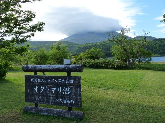 オタトマリ沼から望む利尻岳[25041040370]の写真・イラスト素材