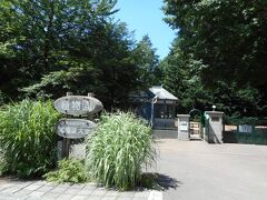 ５日目も、これまた近場の北海道大学植物園へ。

大通公園の少し北にあります。
ホテルから歩いて16-7分です。