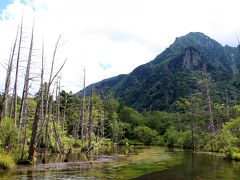 河童橋から梓川右岸道（河童橋・明神池自然探勝路）を進み岳沢湿原へ