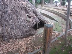 代々木八幡遺跡