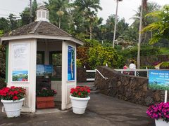 3日目にしてようやく観光に行きました。
定番のコーヒー農園。選んだのはドトールコーヒー農園（マウカメドウズ農園）です。
口コミの評判も良かったので来てみました。

駐車場脇のこちらの建物に入場料を入れる箱があるので、$5入れます。
防犯カメラも付いているので、きちんと入れましょう。