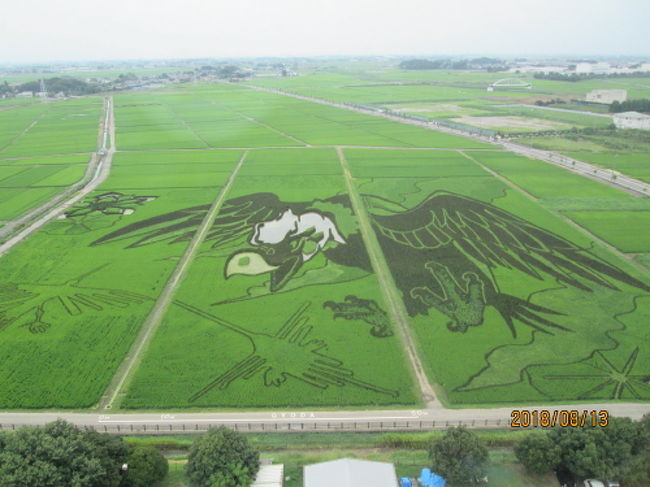 18年 田んぼアート In行田 大いなる翼とナスカの地上絵 行田 羽生 加須 埼玉県 の旅行記 ブログ By 中国の風景さん フォートラベル 18年 田んぼアート In行田 大いなる翼とナスカの地上絵 行田 羽生 加須 埼玉県 の旅行記 ブログ By 中国の風景さん フォートラベル